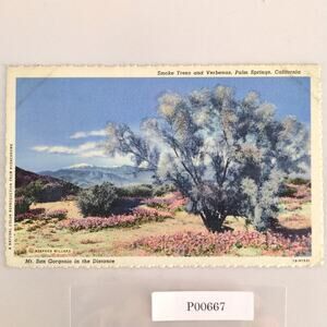 Smoke Trees & Verbenas Palm Springs CA 1940s Linen Postcard Mt San Gorgonio 1950